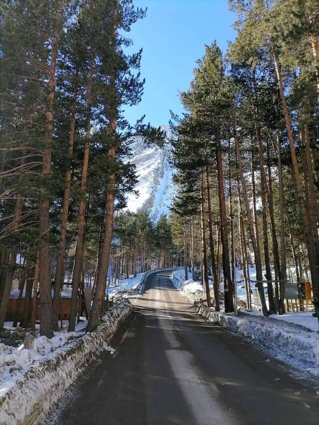 Гостиница Альпина Терскол-239